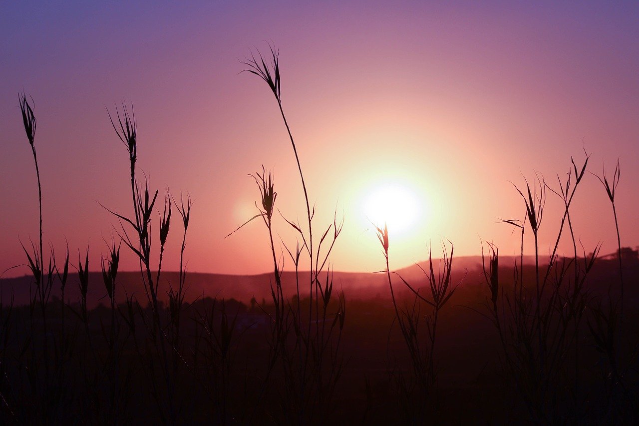 sunset-546370_1280-1 sunset-546370_1280-1