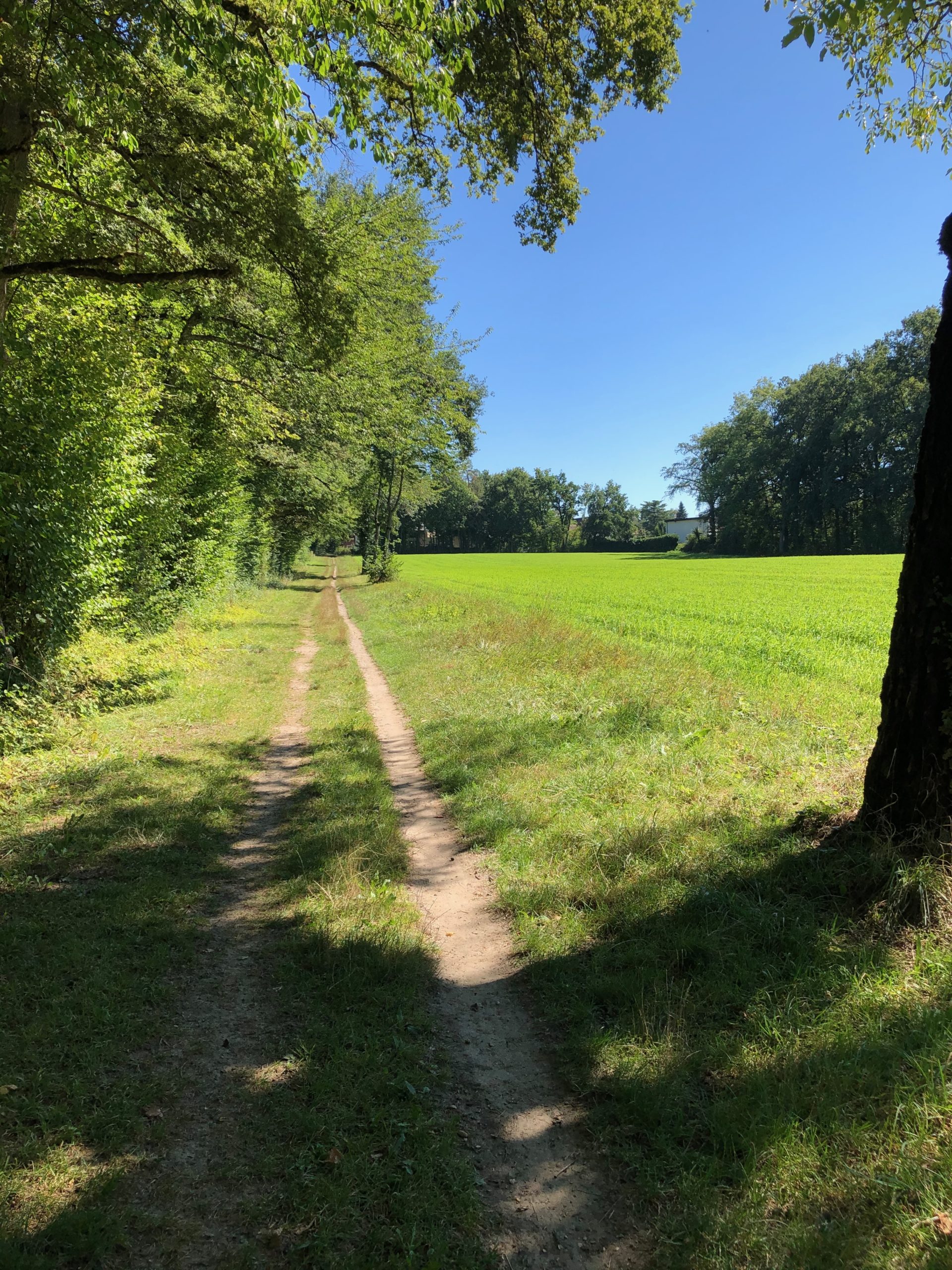Suivre son chemin