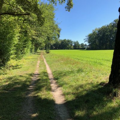 Suivre son chemin