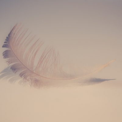 feather-2947022_1920